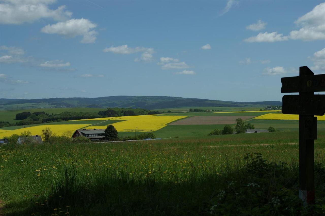 Klein'S Hochwaldscheune Pellingen ภายนอก รูปภาพ